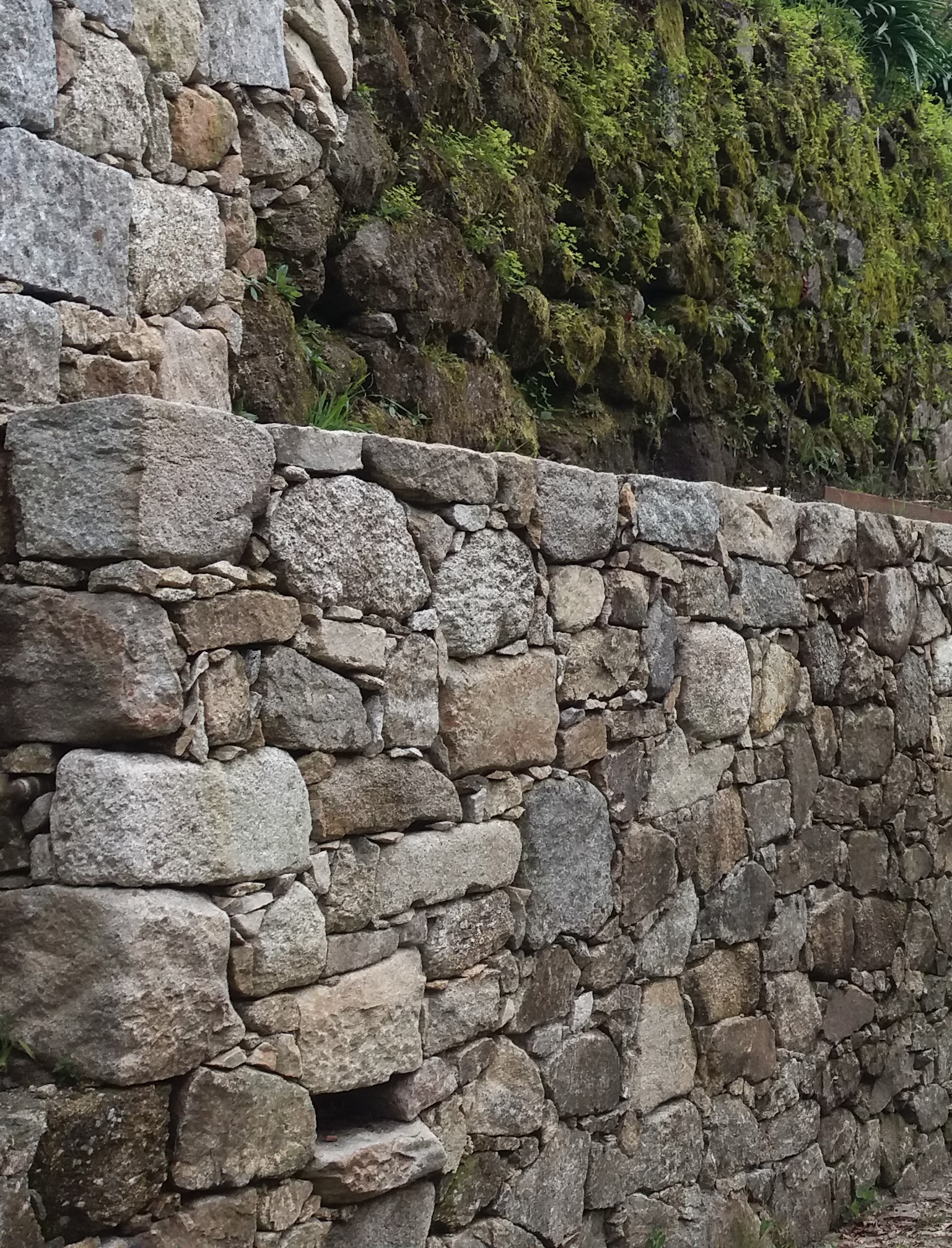 Preço de muro de pedra