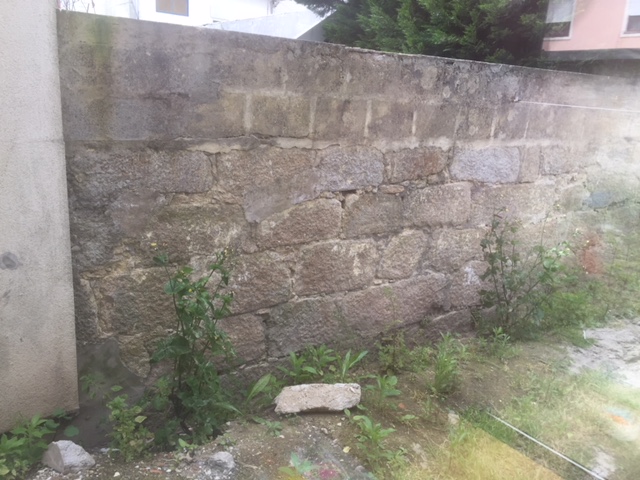 Muro Poente.JPG