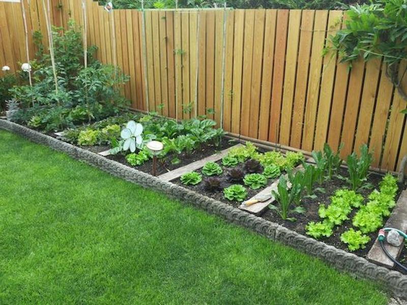 35-gorgeous-backyard-garden-design-ideas-3.jpg