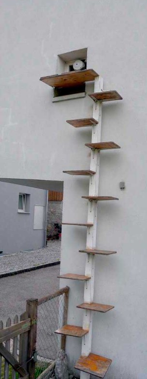 05-escada-para-gatos.jpg