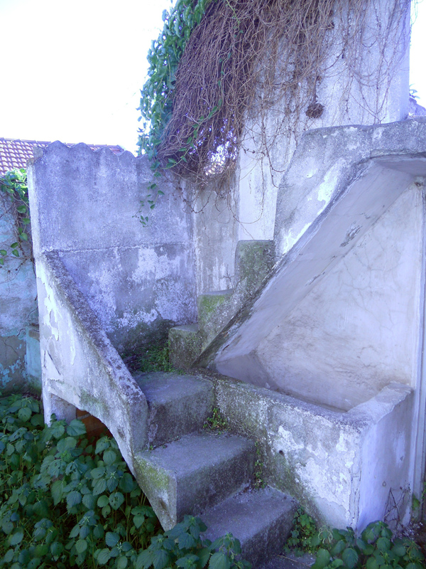 stairs to rooftop1.jpg