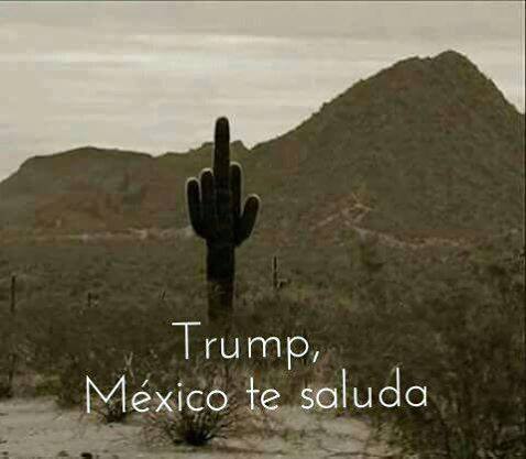 trump mexico.jpg